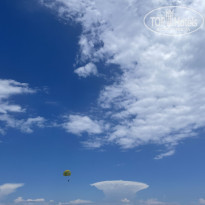 фото из отзыва ID 2351814