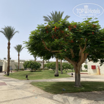 фото из отзыва ID 2351861