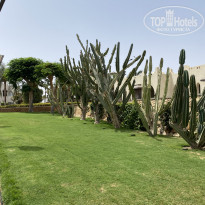 фото из отзыва ID 2351861