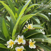 фото из отзыва ID 2351861