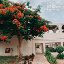 фото из отзыва ID 2351861