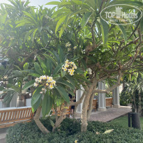 фото из отзыва ID 2351861