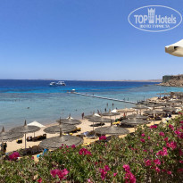 фото из отзыва ID 2351861