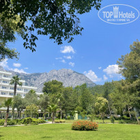 фото из отзыва ID 2351984