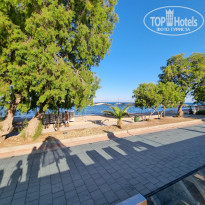 фото из отзыва ID 2352009