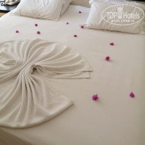 фото из отзыва ID 2352041