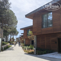 фото из отзыва ID 2352058