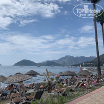 фото из отзыва ID 2352164