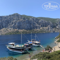 фото из отзыва ID 2352164