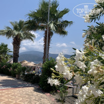 фото из отзыва ID 2352164