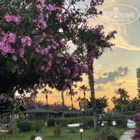 фото из отзыва ID 2352198