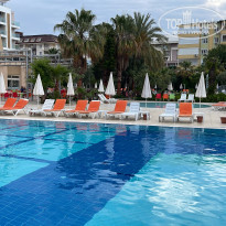 фото из отзыва ID 2352198