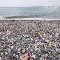 фото из отзыва ID 2352208