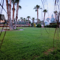 фото из отзыва ID 2352212