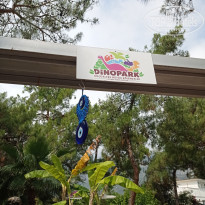 фото из отзыва ID 2352326