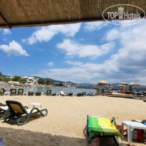 фото из отзыва ID 2352378