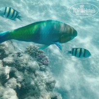 фото из отзыва ID 2352449