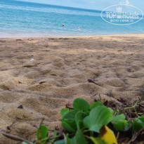 фото из отзыва ID 2352624