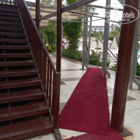 фото из отзыва ID 2352702