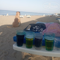 фото из отзыва ID 2352702