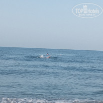 фото из отзыва ID 2352702