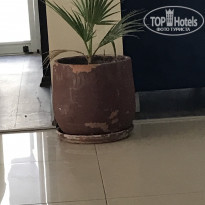 фото из отзыва ID 2352745