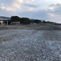 фото из отзыва ID 2352745