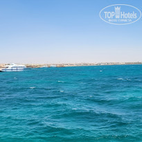 фото из отзыва ID 2352700