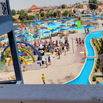 фото из отзыва ID 2352700