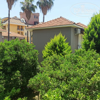 фото из отзыва ID 2352808