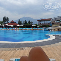 фото из отзыва ID 2352808