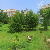 фото из отзыва ID 2352808