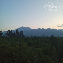 фото из отзыва ID 2352808