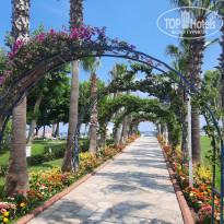 фото из отзыва ID 2352852