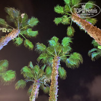 фото из отзыва ID 2352861