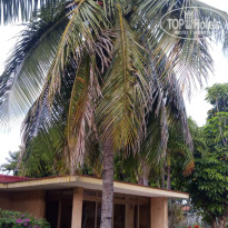 фото из отзыва ID 2352985