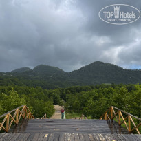 фото из отзыва ID 2353047