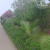 фото из отзыва ID 2353123