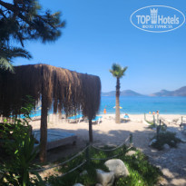 фото из отзыва ID 2353382