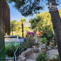 фото из отзыва ID 2353382