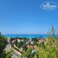 фото из отзыва ID 2353382