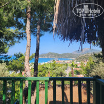 фото из отзыва ID 2353382