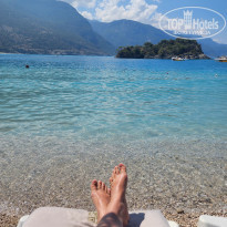 фото из отзыва ID 2353382