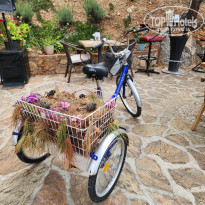 фото из отзыва ID 2353382