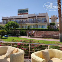 фото из отзыва ID 2353433