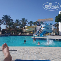 фото из отзыва ID 2353440