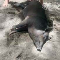 фото из отзыва ID 2352659