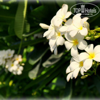 фото из отзыва ID 2353480
