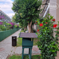 фото из отзыва ID 2353492