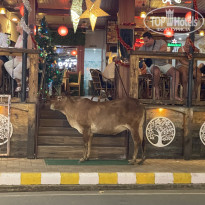 фото из отзыва ID 2353604